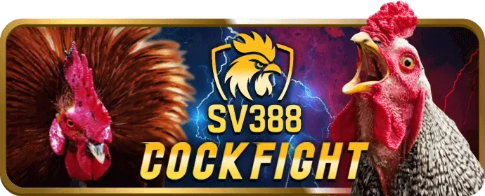 Cá cược bóng rổ kịch tính tại Luck88